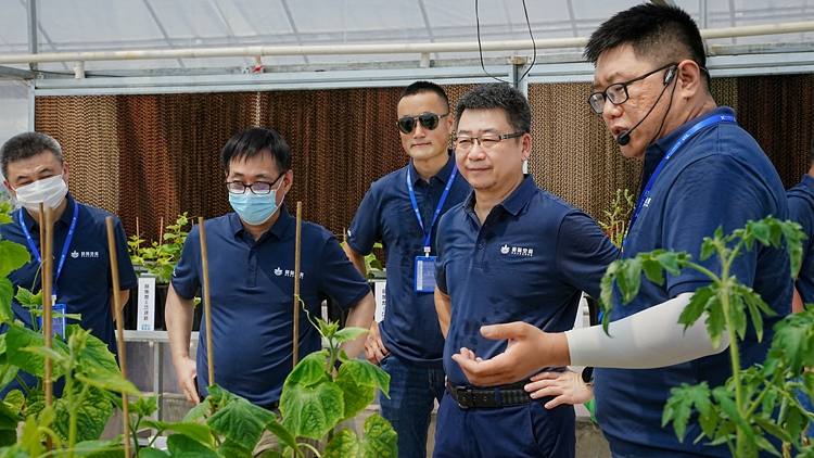 OEŷ��|�ٷ���վ